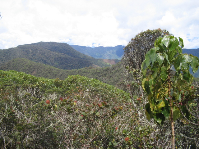 Con el apoyo de la cooperación alemana, el PNN Paramillo, ubicado entre los departamentos de Córdoba y Antioquia, desarrolló un exitoso proceso de alinderamiento que hoy es un ejemplo de fortalecimiento de capacidades en la misión del Sistema de Parques Nacionales Naturales de Colombia
FOTO: PNN