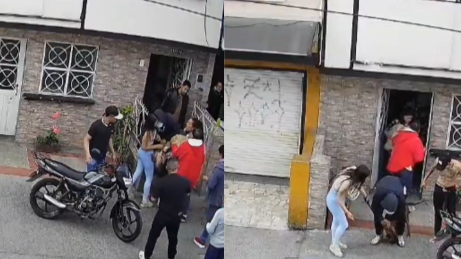 Perro pitbull atacó a adulta mayor y a su mascota en Bogotá: esto se sabe