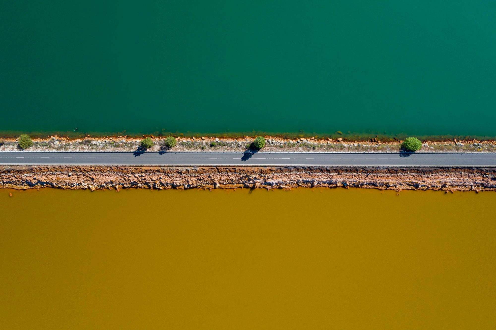 En fotos: Lo mejor de la naturaleza en este 2020