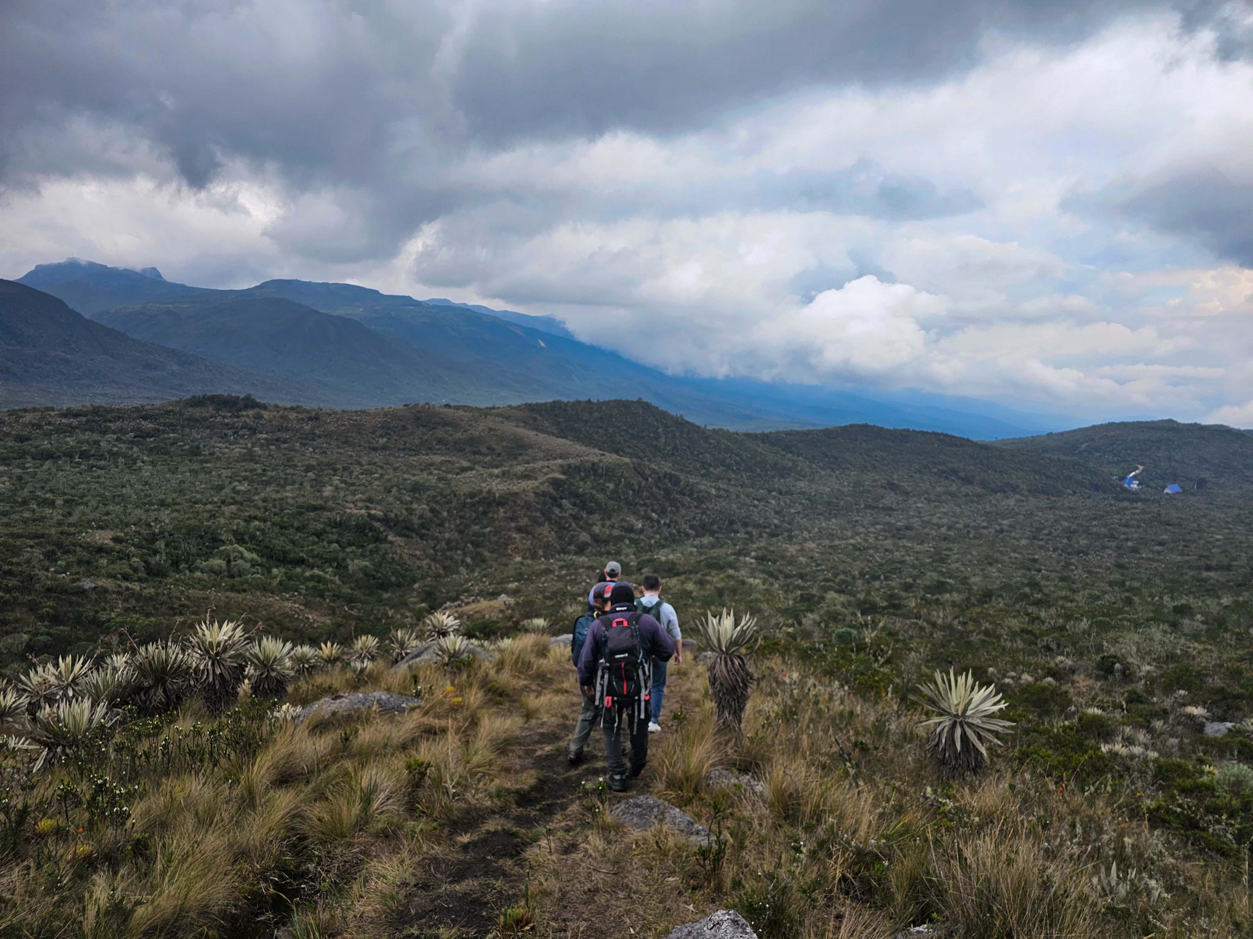 La caminata hacia las Cuchillas de Siecha, es una experiencia exigente. Con un recorrido aproximado de ocho kilómetros, la caminata puede tomar cerca de cinco horas