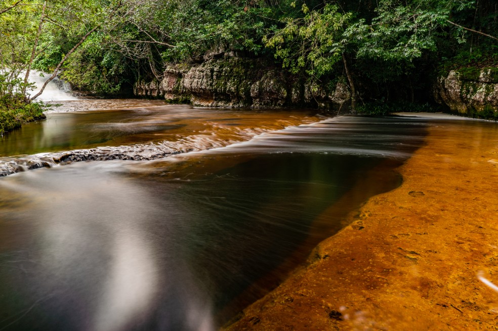 Colombia recibirá 28 millones de dólares para luchar contra la deforestación en Amazonía