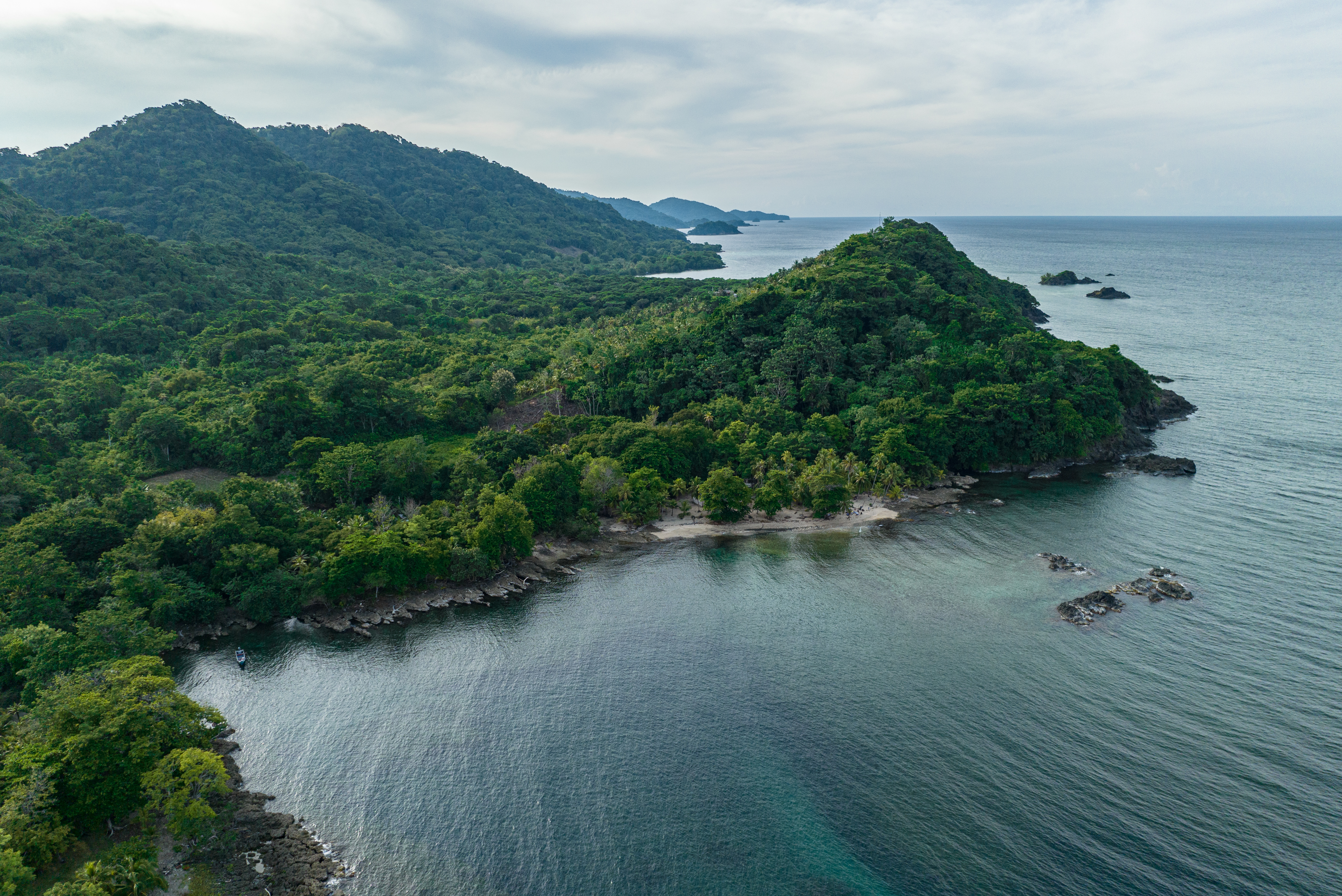 Colombia es una pieza clave en el rompecabezas ambiental global