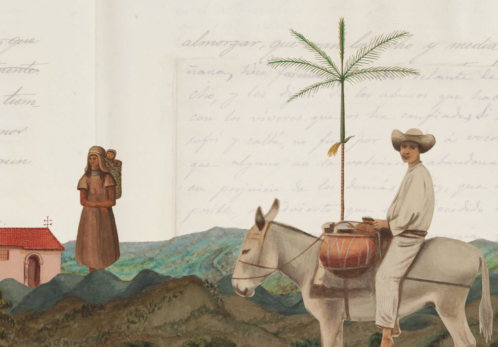 Todo el tratamiento gráfico de la plataforma se nutre de las imágenes del diario mismo, que pueden ser consultadas en alta resolución por los usuarios. / Biblioteca Luis Ángel Arango