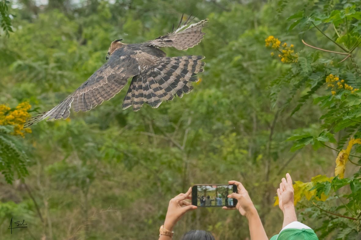 Un guardián de la biodiversidad en Cali