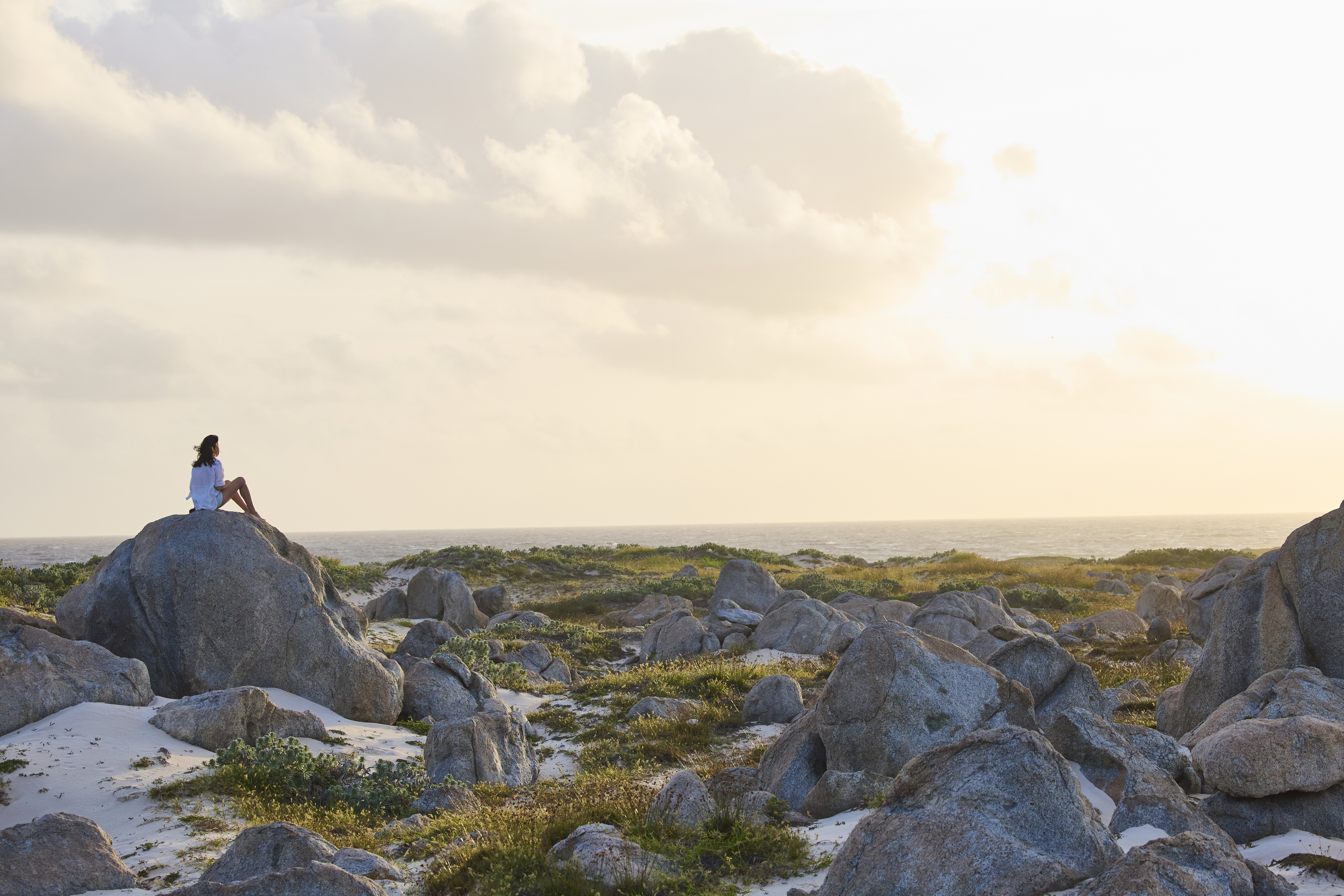 El 20 % de la superficie de Aruba pertenece al Parque Nacional Arikok, una zona protegida que alberga una sorprendente variedad de fauna y
flora desérticas.