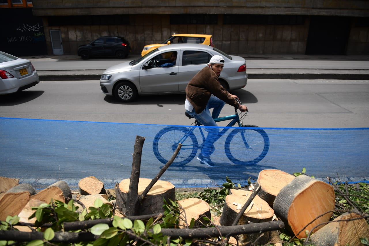 “A medianoche, mientras todos duermen la alcaldesa que va a ´reverdecer Bogotá´ talas de los árboles de la Av. 68. Claudia López está más interesada en construir troncales de Transmilenio que en cumplir sus promesas de campaña”, dijo Carlos Carrillo, concejal del Polo Democrático.