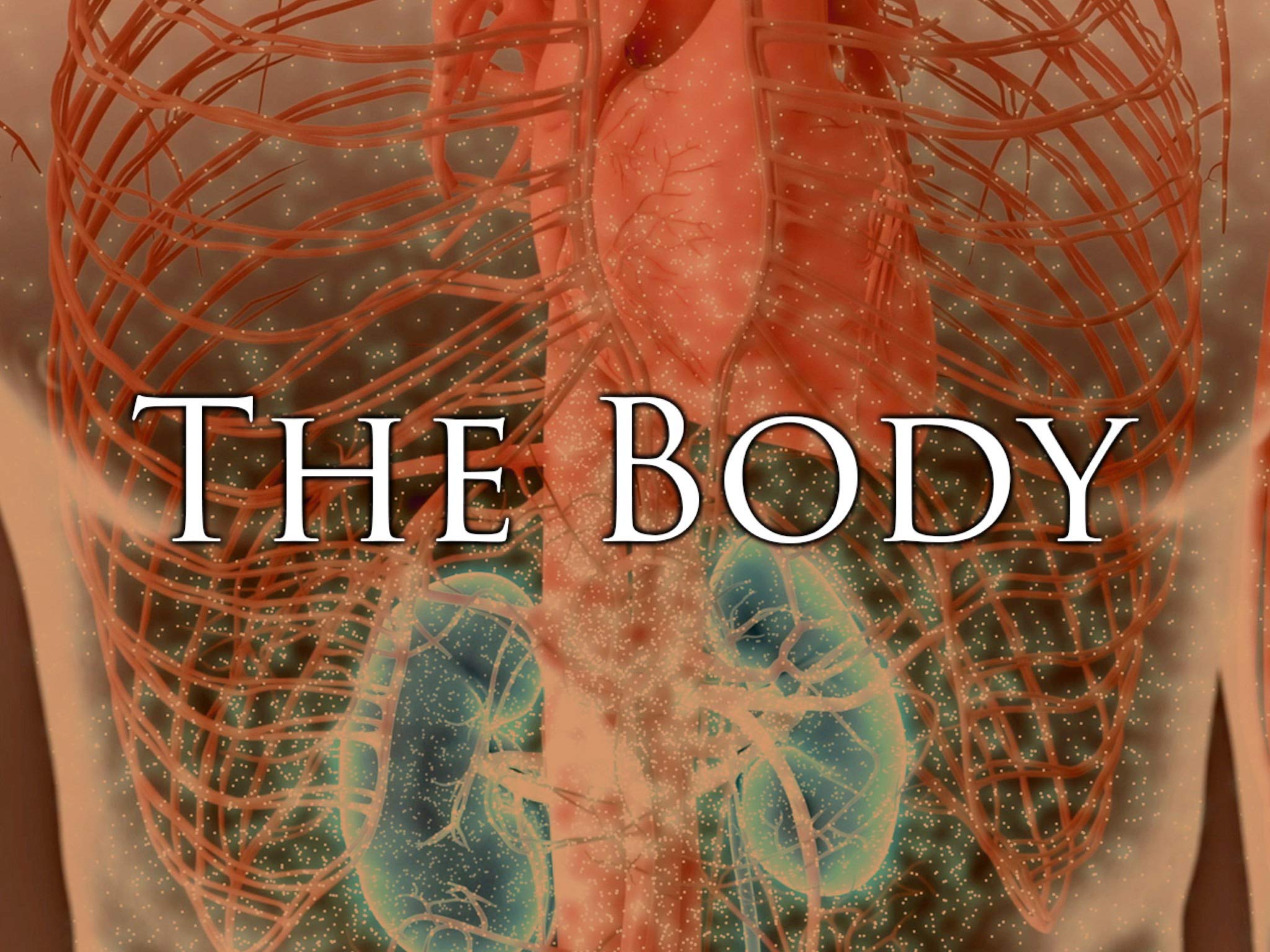 El Cuerpo
