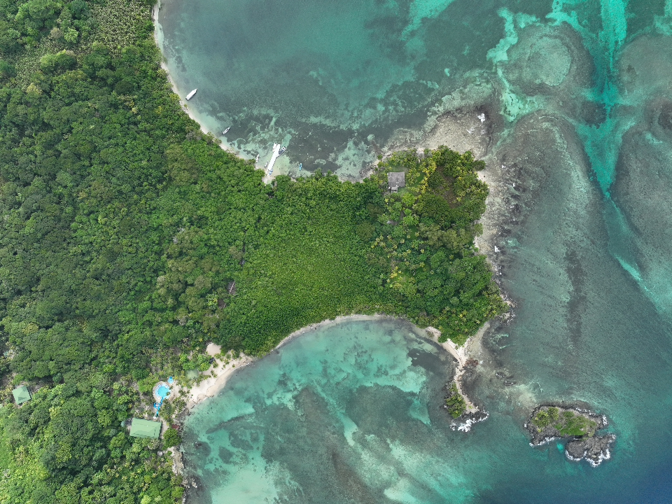 Deuda por naturaleza, una propuesta beneficiosa para el ambiente y los países