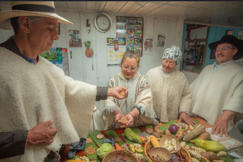 Mujeres campesinas de Sumapaz construyen paz y defienden el territorio