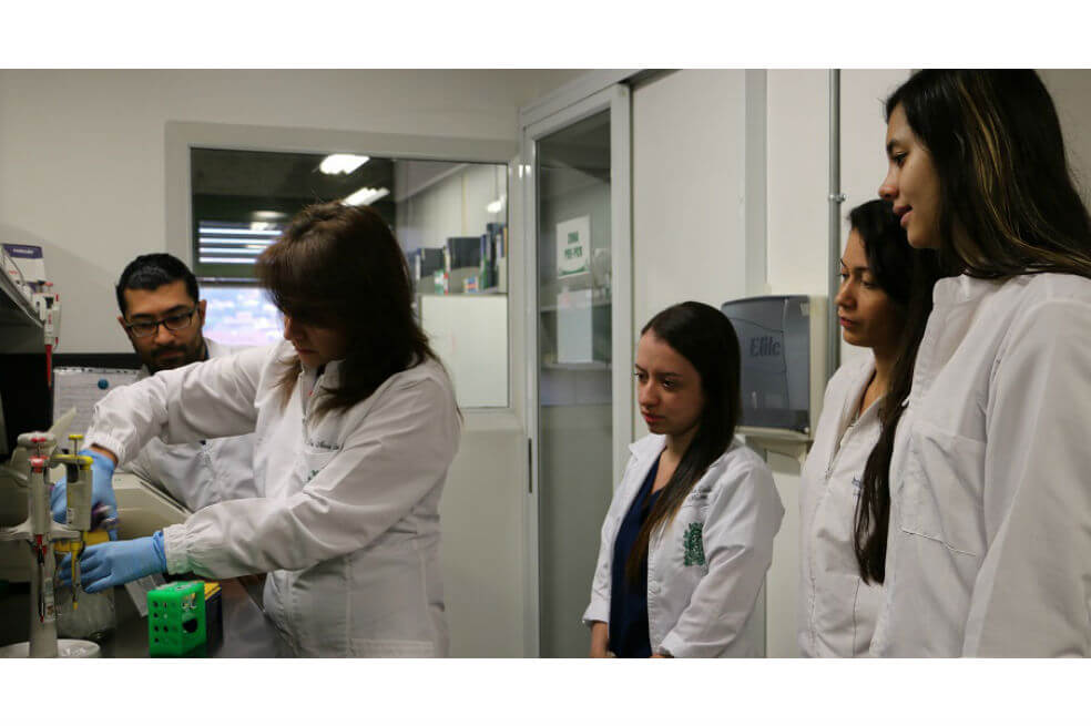 UdeA busca personas que recibieron transfusiones de sangre antes de 1996