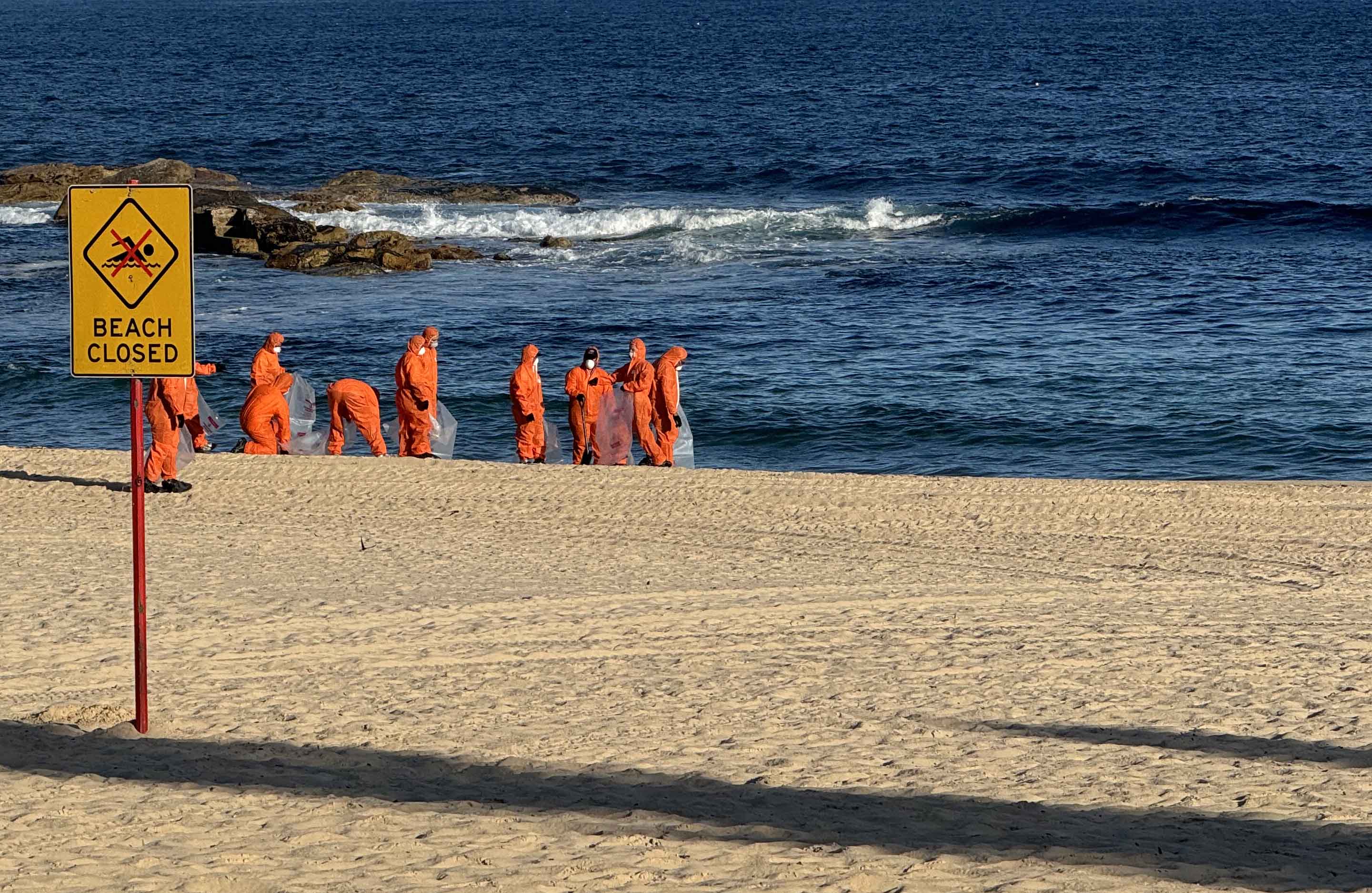 ¿Qué son las misteriosas bolas negras que aparecieron en las playas de Australia?