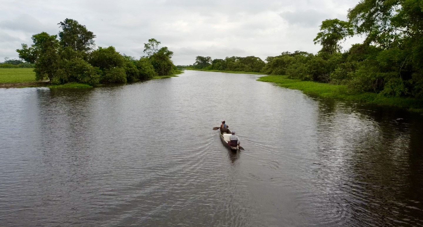 Corrientes vitales para Colombia