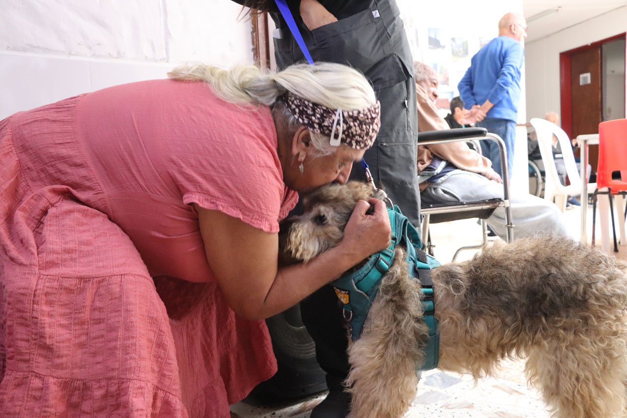 Chagualo, el perro rescatado que le devolvió la sonrisa a una adulta mayor en Medellín