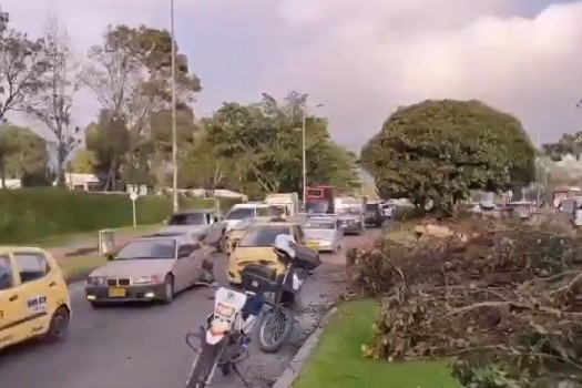 Movilidad hoy: bomberos retiran árbol caído de la Av. Mutis, tráfico fluye con normalidad