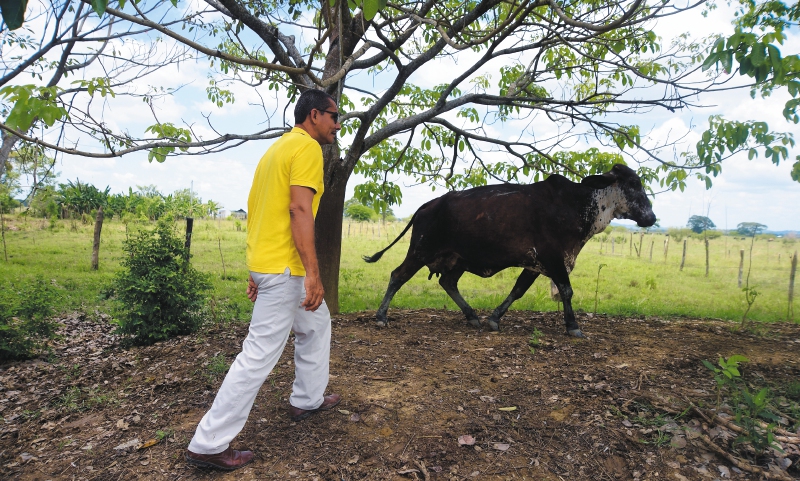 Un nuevo aire en Cedro Cocido, antigua hacienda de los Castaño en Montería