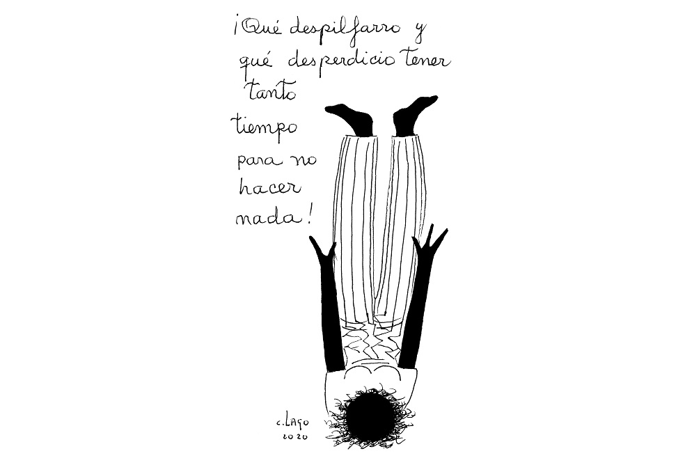 Nieves