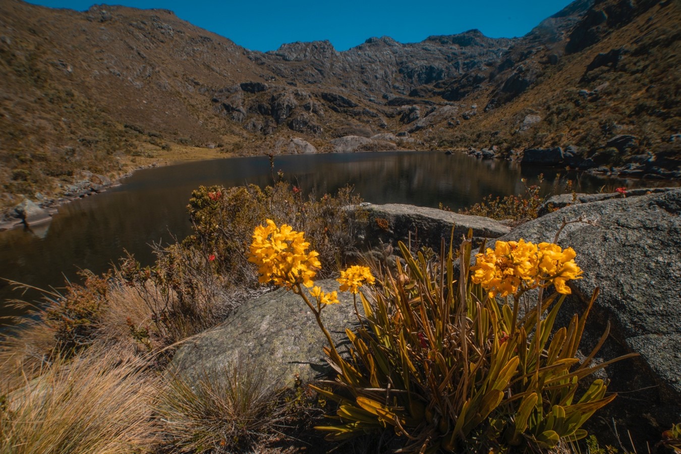 El Páramo Santurbán es un macizo montañoso, conocido geográficamente también como Nudo de Santurbán.