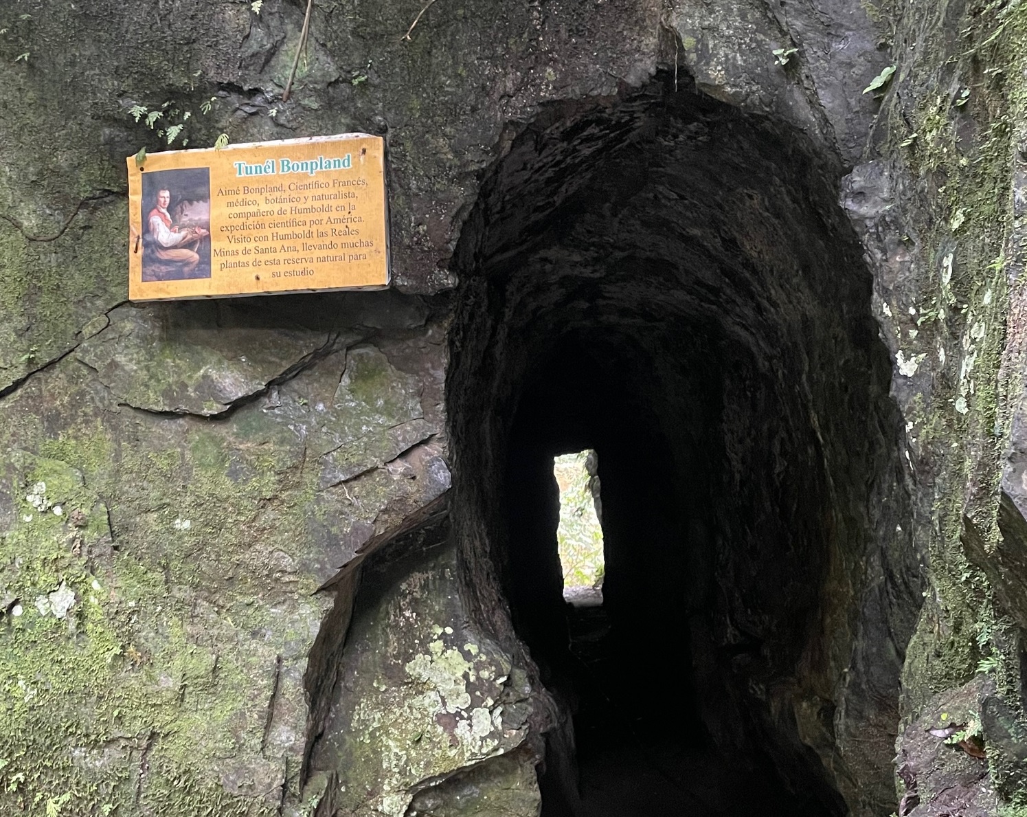 Túnel Bonpland, en honor al científico francés Aimé Bonpland.