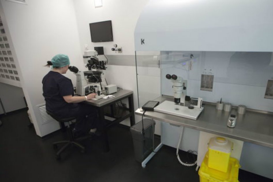 Oncofertilidad, el método con el que personas con cáncer podrán preservar su fertilidad