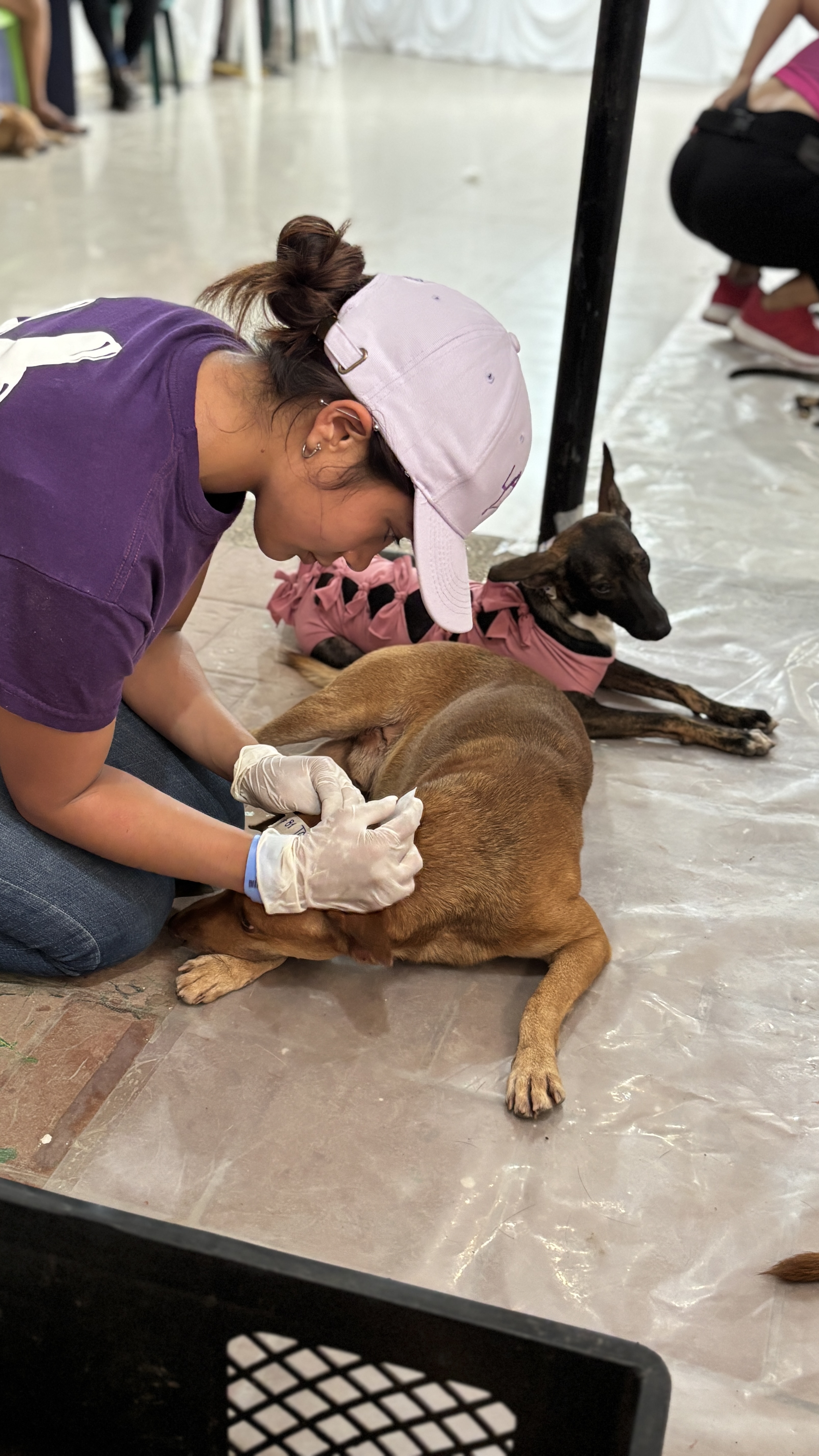 Por cada donación, un niño se acerca a la NASA y un animal recibe alimento