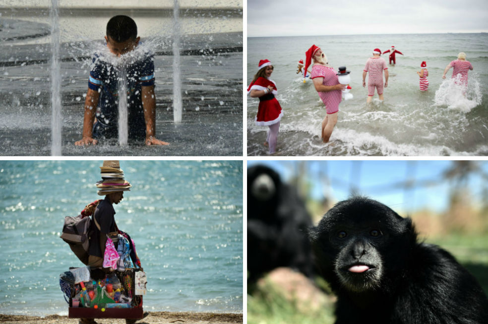 Las diez fotos más curiosas de esta semana