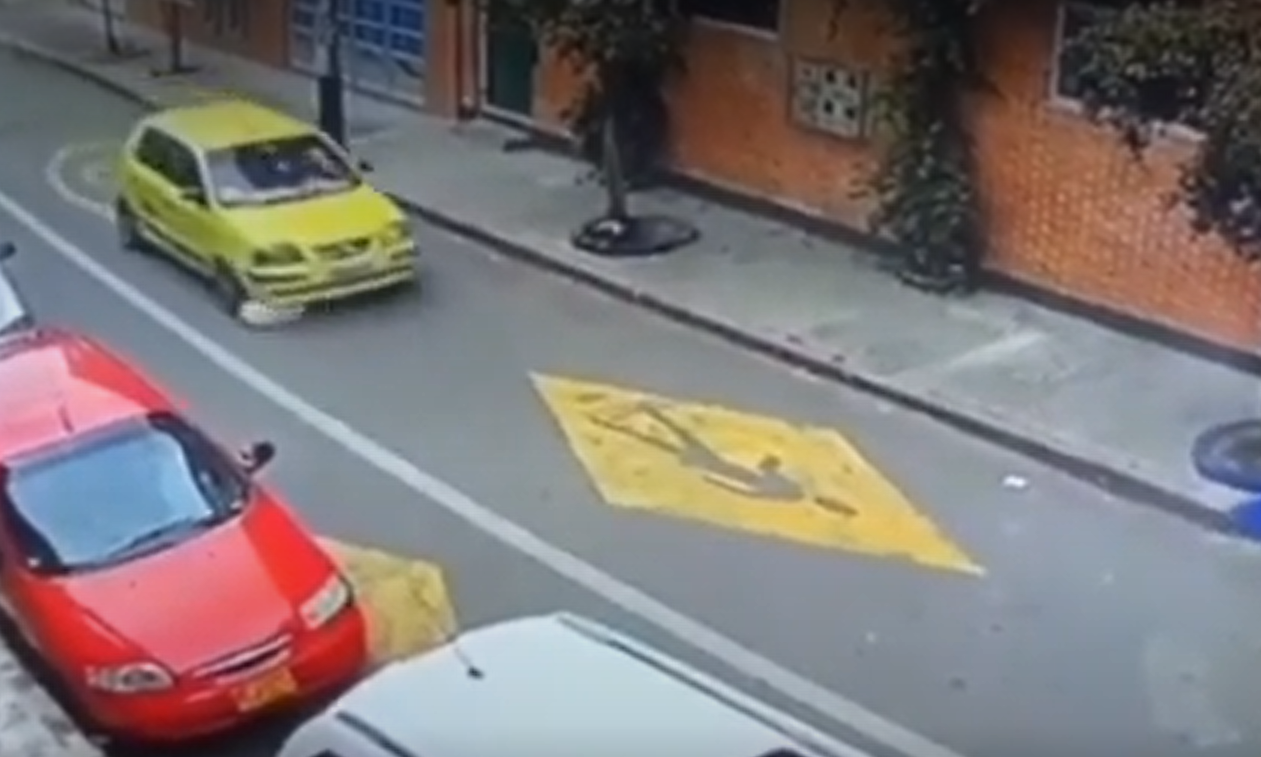 Taxista que atropelló a una perrita en Bogotá fue imputado por maltrato animal