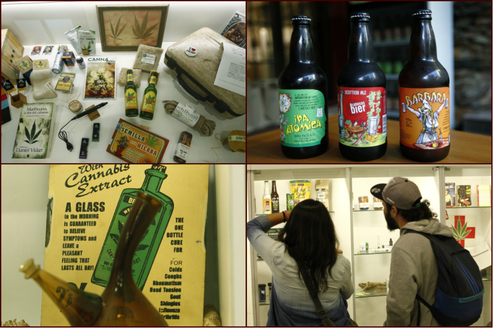 Imágenes: Uruguay inaugura el primer museo de cannabis en Sudamérica