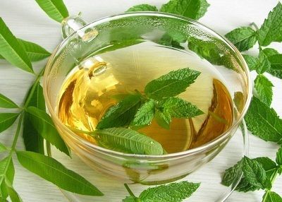 Aprende los múltiples beneficios del cedrón y cómo puede mejorar tu calidad de vida.