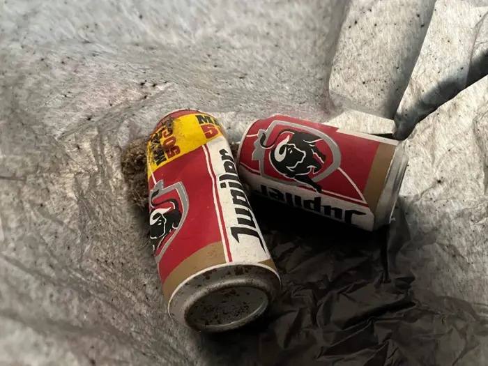 Empleado de museo tiró a la basura una obra de arte al confundirla con residuos