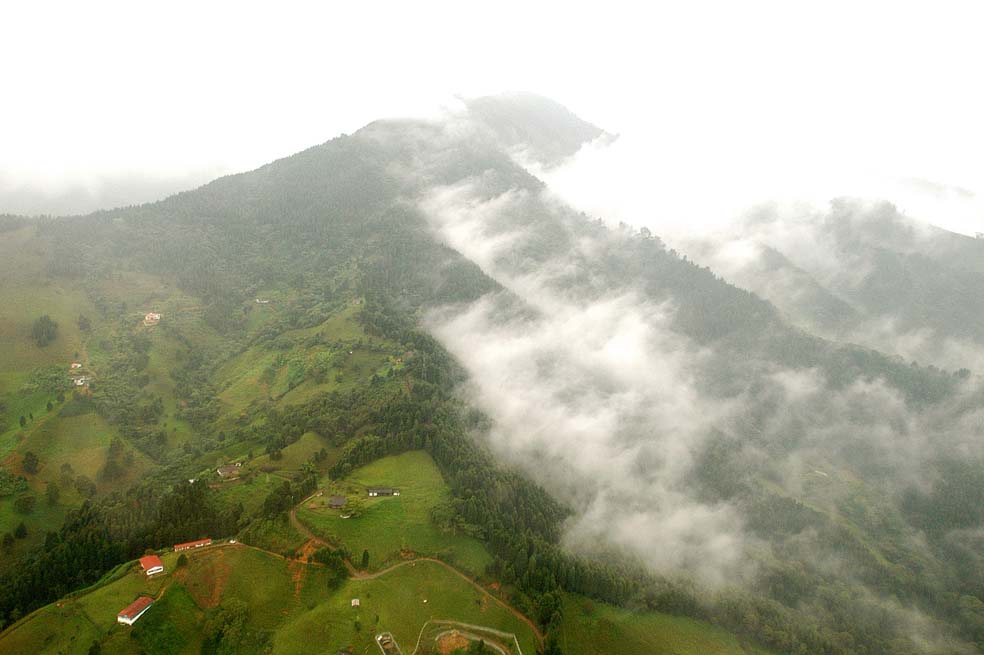 Cambio climático multiplicaría malaria en Colombia