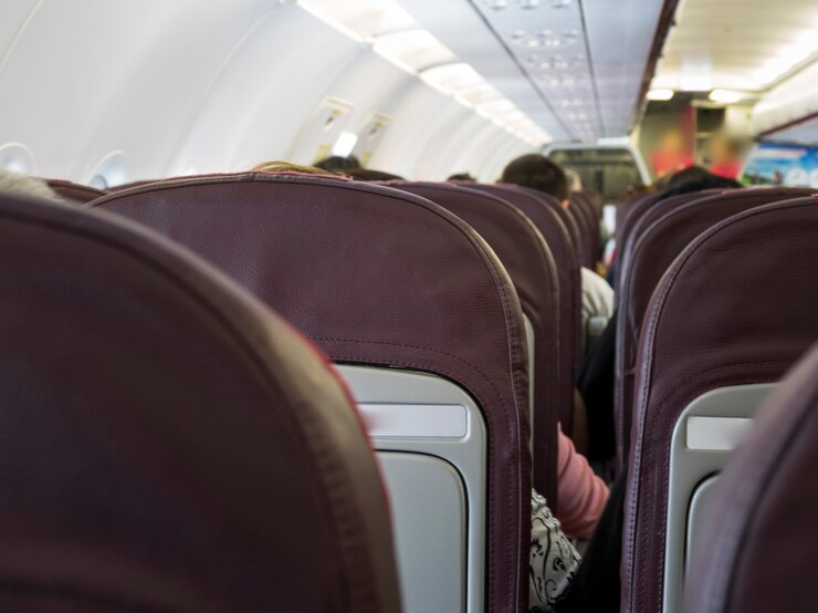Hallan una pitón en un avión: estrella de Disney que iba en el vuelo la atrapó