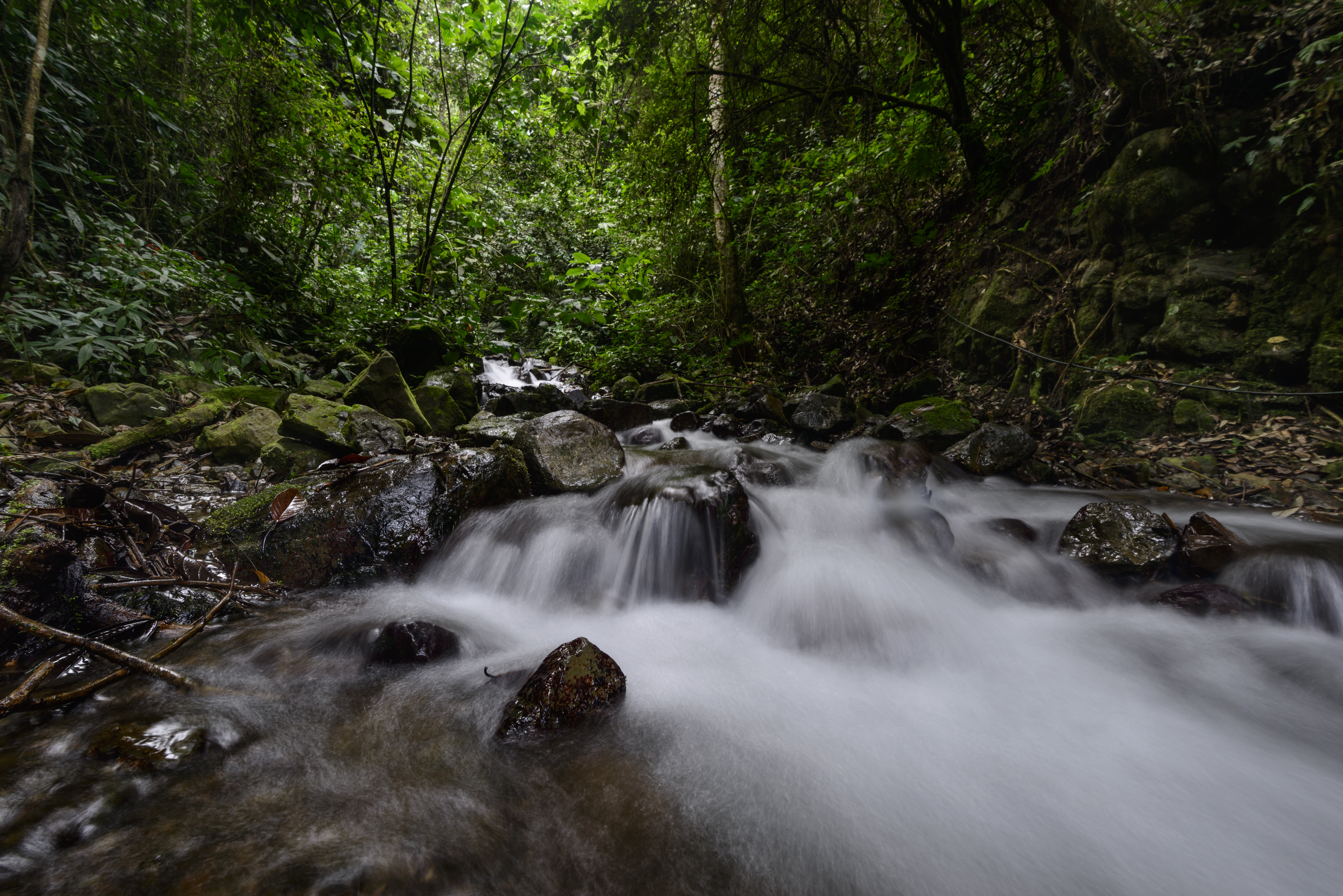 Una buena regulación necesita de herramientas para su implementación: Agua para Colombia