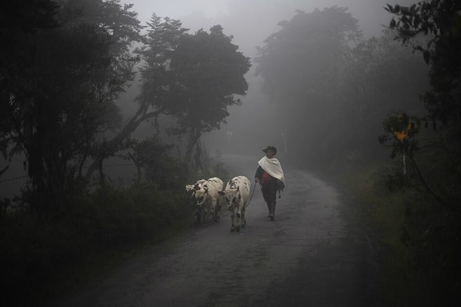 Un diálogo para la no repetición del conflicto armado en Sumapaz