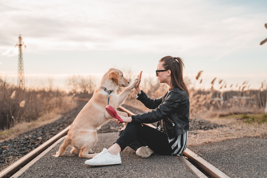 ¿Cómo saber si tu perro se siente amado? Con estas señales agradece tu cariño