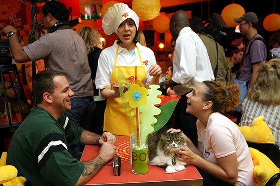 Un café con tu gato