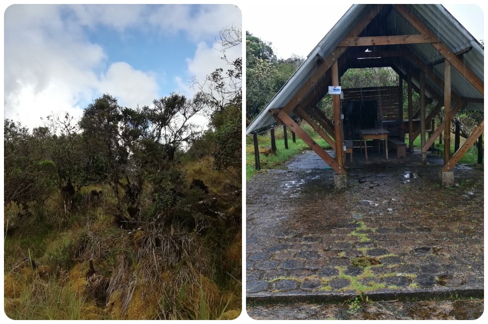 Izquierda: área donde se les dijo a periodistas que se haría el glamping. Derecha: área donde PNN dice que se harán las mejoras.