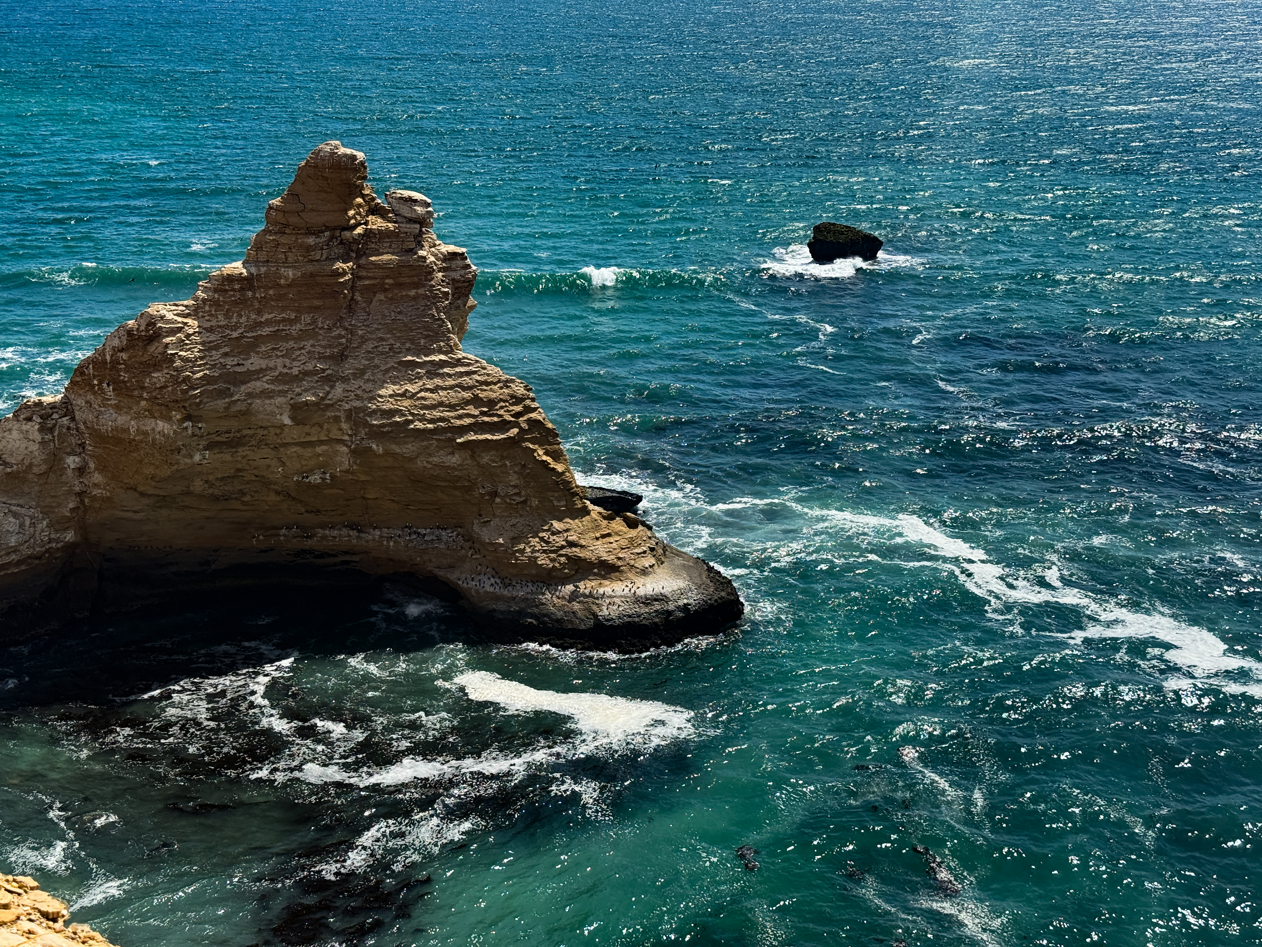 Allí, las Islas Ballestas, la Reserva Nacional y Playa Roja ofrecen una experiencia natural única.