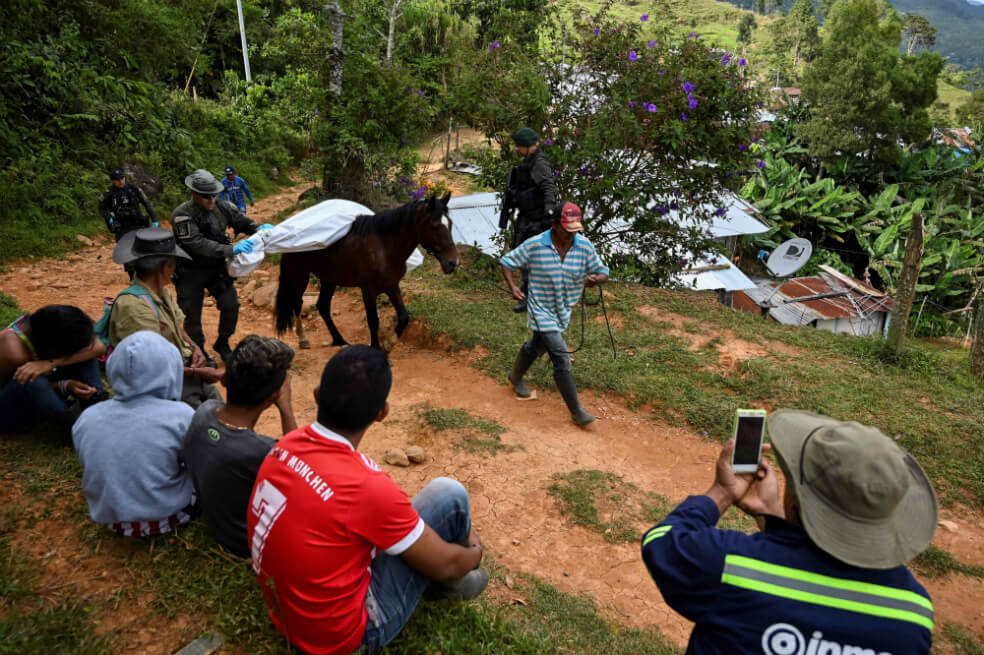 Coca, el fenómeno que tiene en crisis a Jamundí