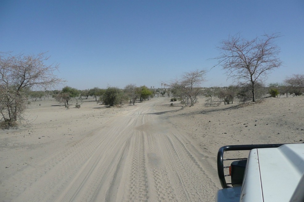 El cambio climático puede humedecer un desierto