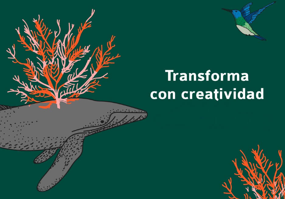 Abierta convocatoria para presentar proyectos audiovisuales al Festival Internacional de Cine Ambiental