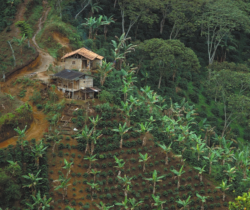 La vivienda rural en Colombia: una historia de deudas y sombras