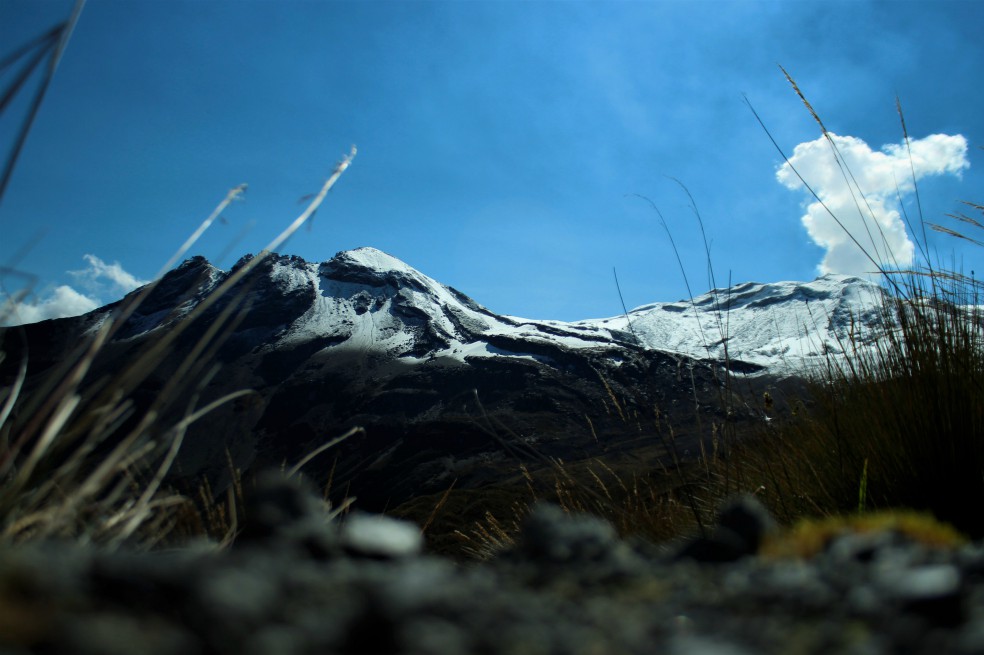 Imagen del Parque de Los Nevados / Sergio Silva Numa