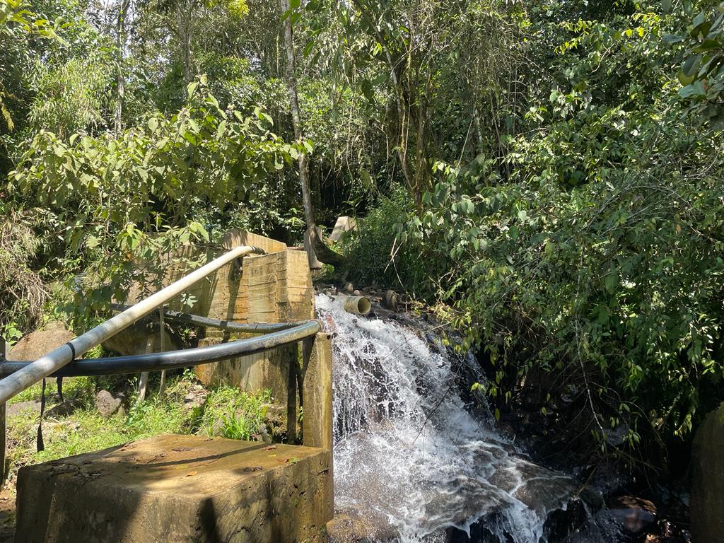 La discordia por los planes para construir una vía en Risaralda