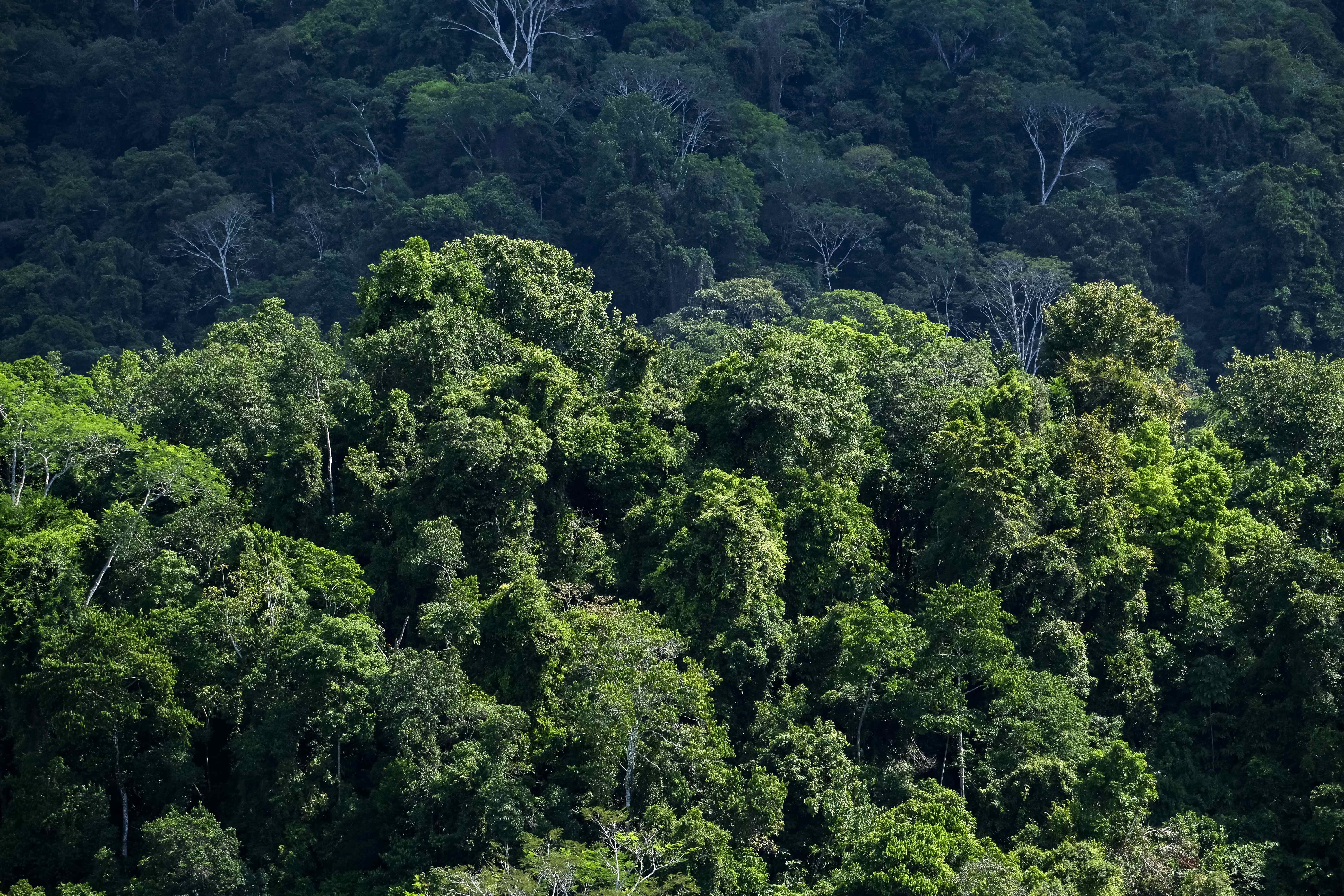 Costa Rica: cómo un paraíso turístico se convirtió en un imán para el narcotráfico