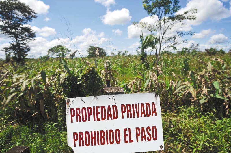 Farc denuncian mico en decreto de tierras