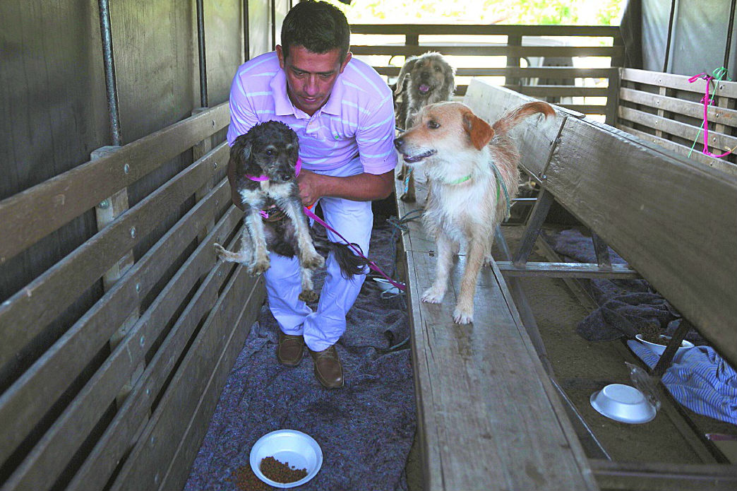 El falso veterinario que atendió a animales en Mocoa, Putumayo