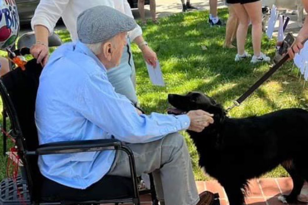Hombre cumple cien años y le llevan decenas de perros para festejar su día