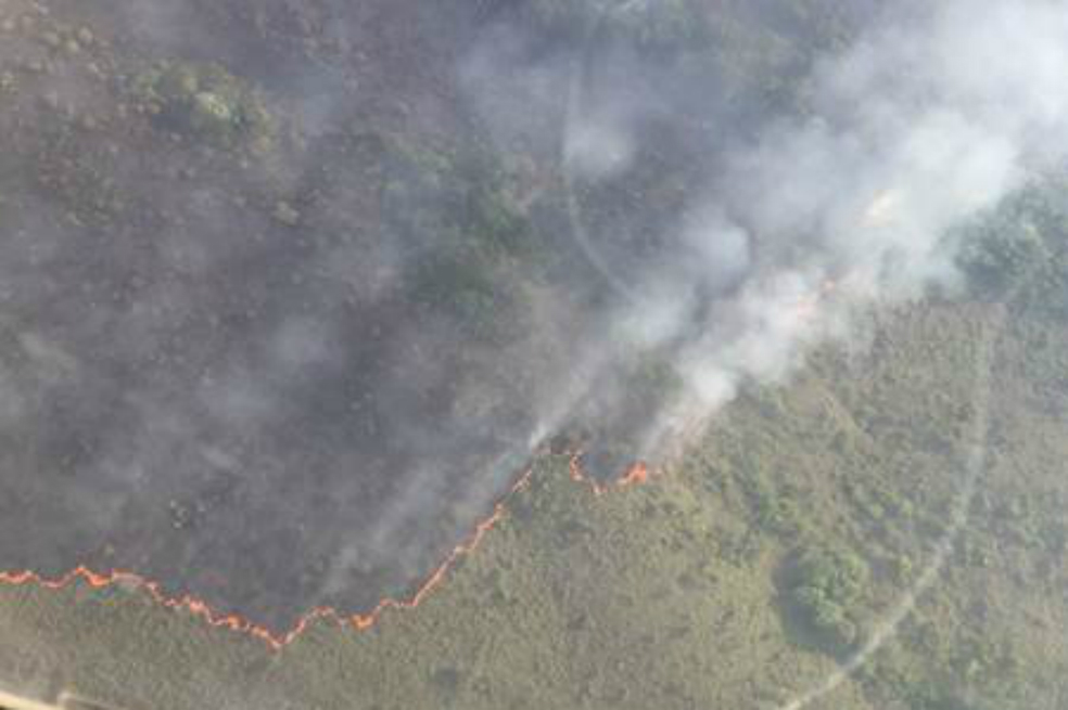 Intentan controlar incendio forestal en La Macarena, Meta