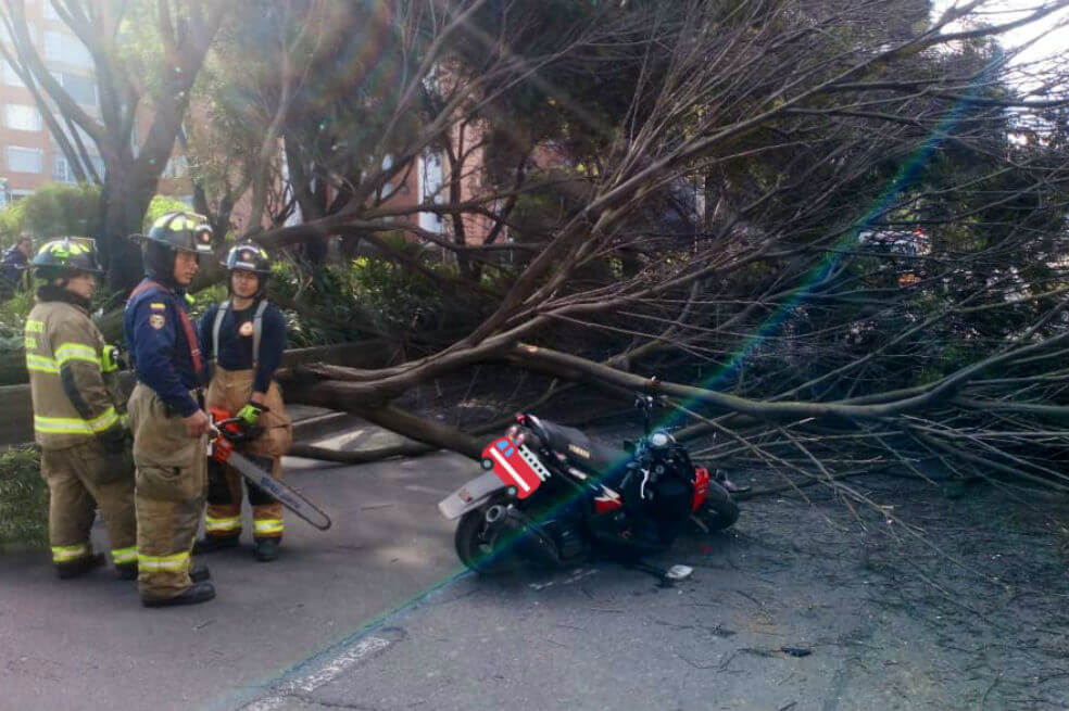 Árbol cayó sobre un motociclista en el centro de Bogotá