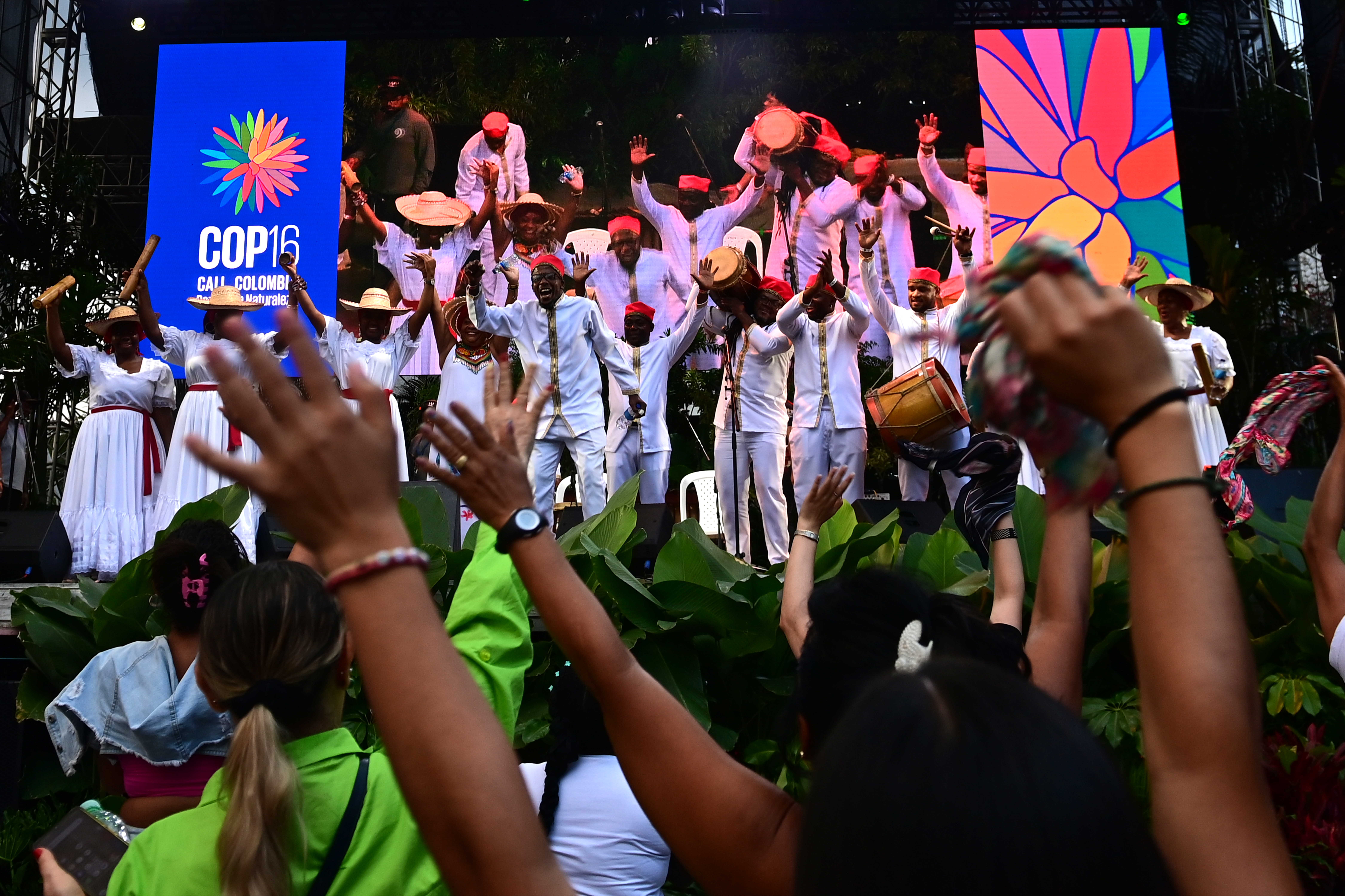 Más de 900.000 visitantes, el balance de la Zona Verde de la COP16